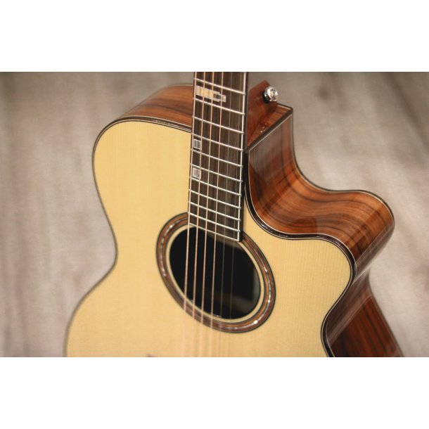 Fonzo V-201S OM Cutaway